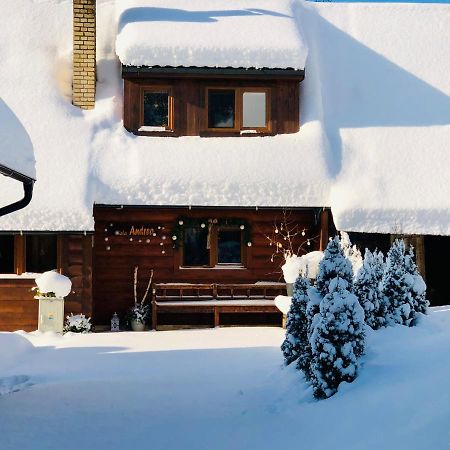 Andrea- Neakceptujeme Mlade Partie Villa Terchova Luaran gambar